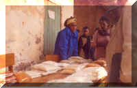 pic9.jpg (64230 bytes)