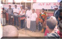 pic7.jpg (72112 bytes)